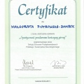 Powiększ obraz: certificate 30