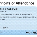 Powiększ obraz: certificate 13