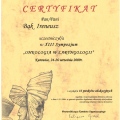 Powiększ obraz: certificate 19