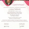 Powiększ obraz: certificate 10