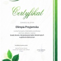 Powiększ obraz: certificate 5