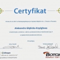 Powiększ obraz: certificate 1