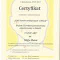 Powiększ obraz: certificate 4