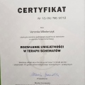 Powiększ obraz: certificate 3