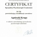 Powiększ obraz: certificate 1