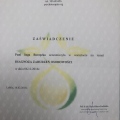 Powiększ obraz: certificate 6