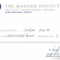 Powiększ obraz: certificate 4