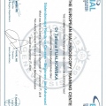 Powiększ obraz: certificate 8