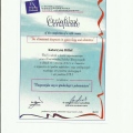 Powiększ obraz: certificate 4