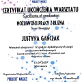 Powiększ obraz: certificate 8