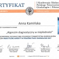 Powiększ obraz: certificate 2
