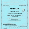 Powiększ obraz: certificate 19