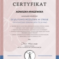 Powiększ obraz: certificate 7