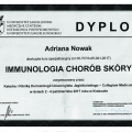 Powiększ obraz: certificate 4