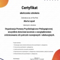 Powiększ obraz: certificate 1