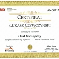 Powiększ obraz: certificate 1