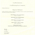 Powiększ obraz: certificate 1