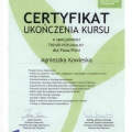 Powiększ obraz: certificate 7