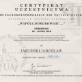 Powiększ obraz: certificate 3