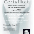 Powiększ obraz: certificate 3