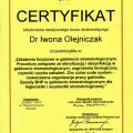 Powiększ obraz: certificate 4