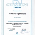 Powiększ obraz: certificate 2