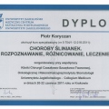 Powiększ obraz: certificate 6