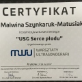 Powiększ obraz: certificate 1