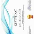 Powiększ obraz: certificate 9