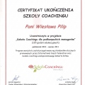Powiększ obraz: certificate 2
