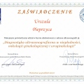 Powiększ obraz: certificate 4