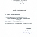 Powiększ obraz: certificate 2