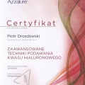 Powiększ obraz: certificate 1