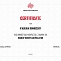 Powiększ obraz: certificate 11