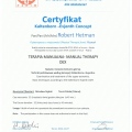 Powiększ obraz: certificate 13