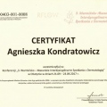 Powiększ obraz: certificate 17