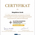 Powiększ obraz: certificate 2