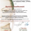 Powiększ obraz: certificate 37