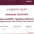 Powiększ obraz: certificate 20