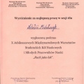Powiększ obraz: certificate 2