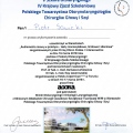 Powiększ obraz: certificate 11