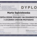 Powiększ obraz: certificate 13
