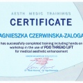 Powiększ obraz: certificate 4