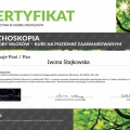 Powiększ obraz: certificate 82