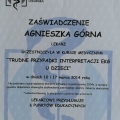 Powiększ obraz: certificate 4