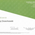 Powiększ obraz: certificate 87