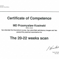 Powiększ obraz: certificate 1