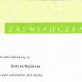 Powiększ obraz: certificate 9
