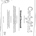 Powiększ obraz: certificate 4