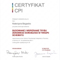 Powiększ obraz: certificate 6